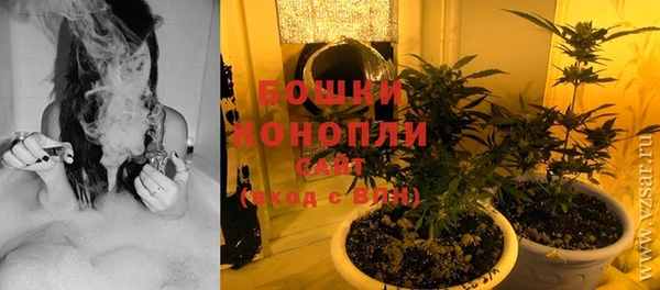 PSILOCYBIN Бронницы