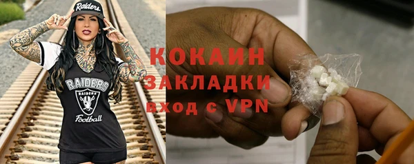 PSILOCYBIN Бронницы