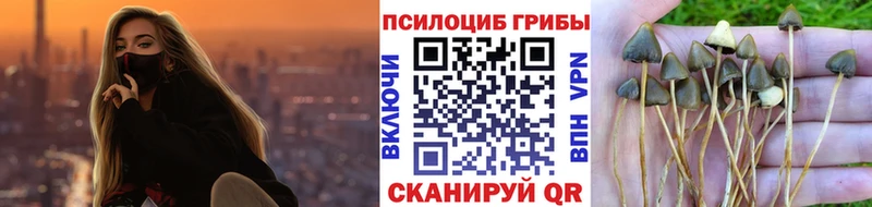 Псилоцибиновые грибы мухоморы  наркота  дарк нет наркотические препараты  Вятские Поляны  блэк спрут ссылки 
